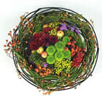 fiori
