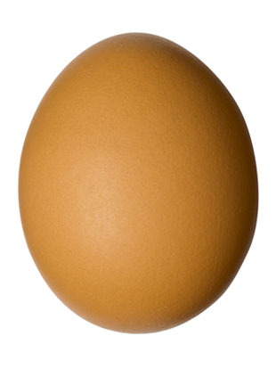 uovo