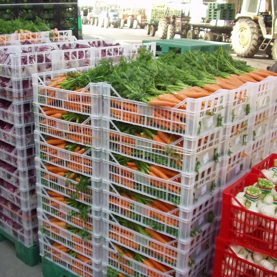 mercato ortofrutticolo - QUADRATA